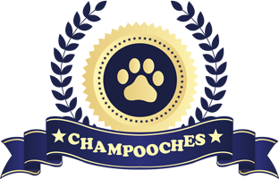Champooches Pet Services